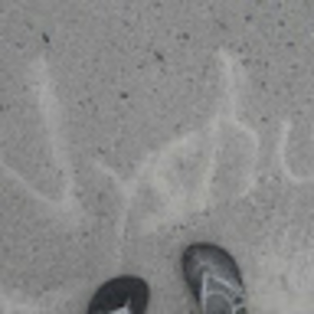 Meet your Posher, Vyshu